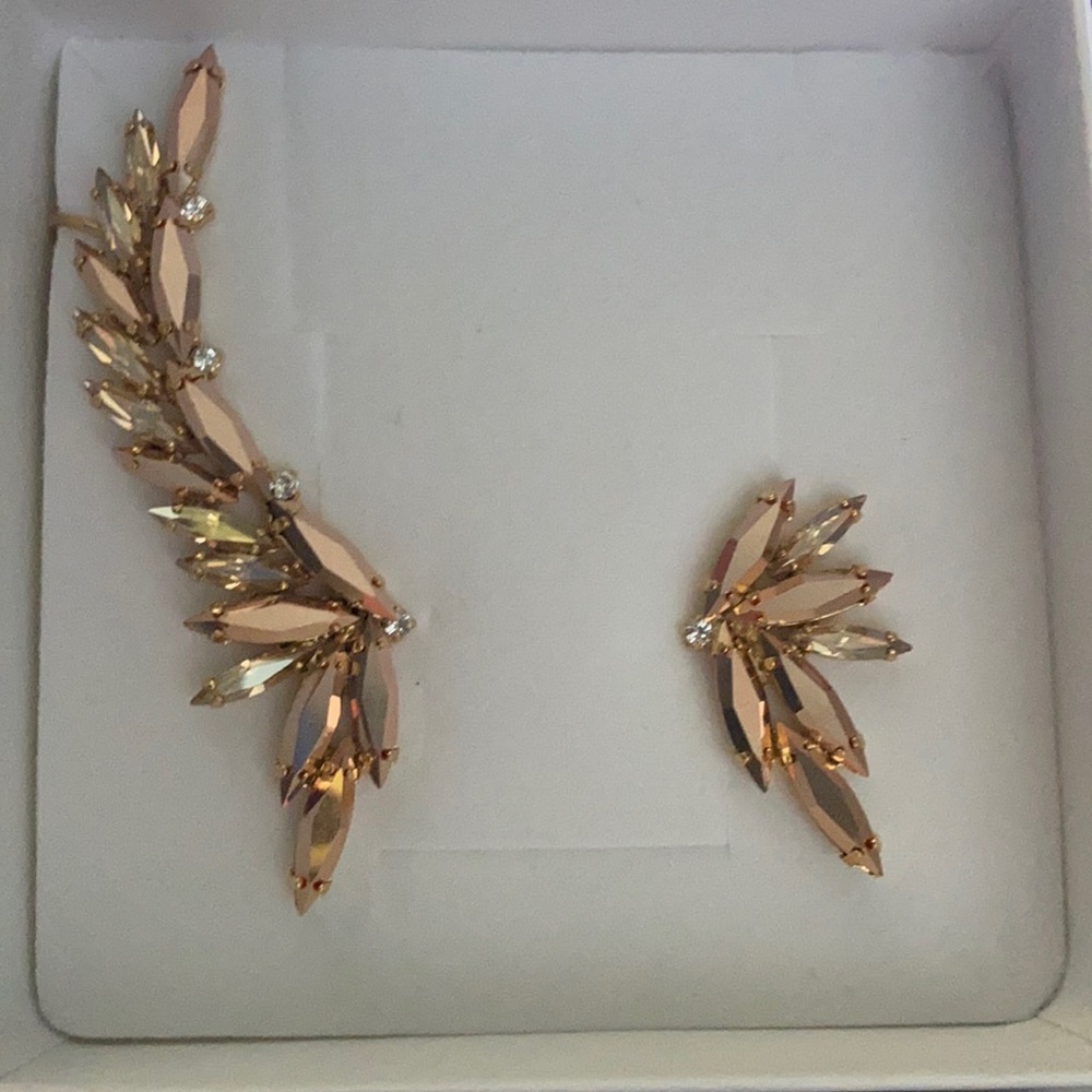 Earring and right matching cuff